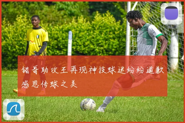 错哥助攻王再现神技球迷纷纷道歉感恩传球之美