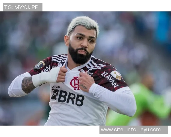 瑞天空报道纽卡水晶宫争夺埃尔哈努斯冬窗斯图加特不会放人